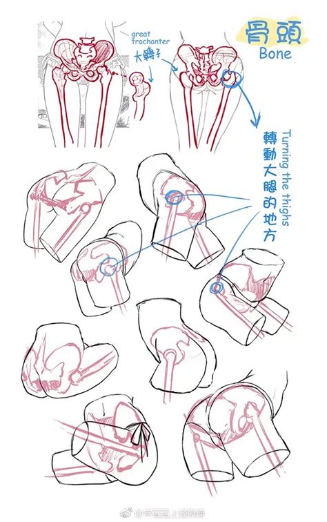 屁股 畫法|基础绘画—动漫人物臀部画法教程